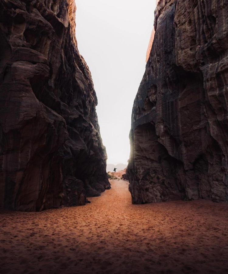 Wadirum Zeid Camp&Tours Wadi Rum Extérieur photo