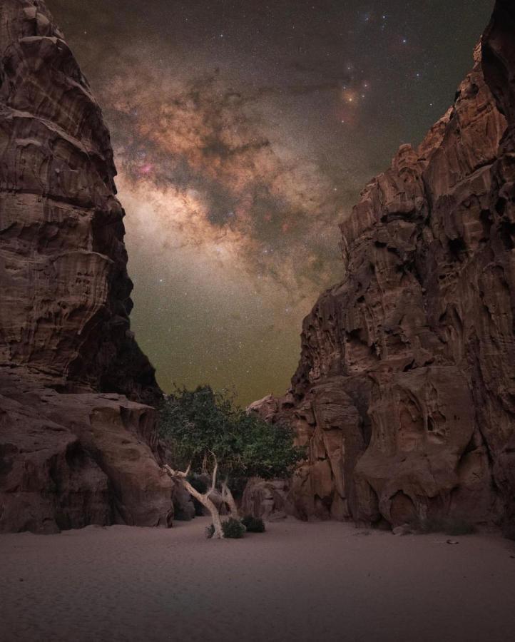 Wadirum Zeid Camp&Tours Wadi Rum Extérieur photo